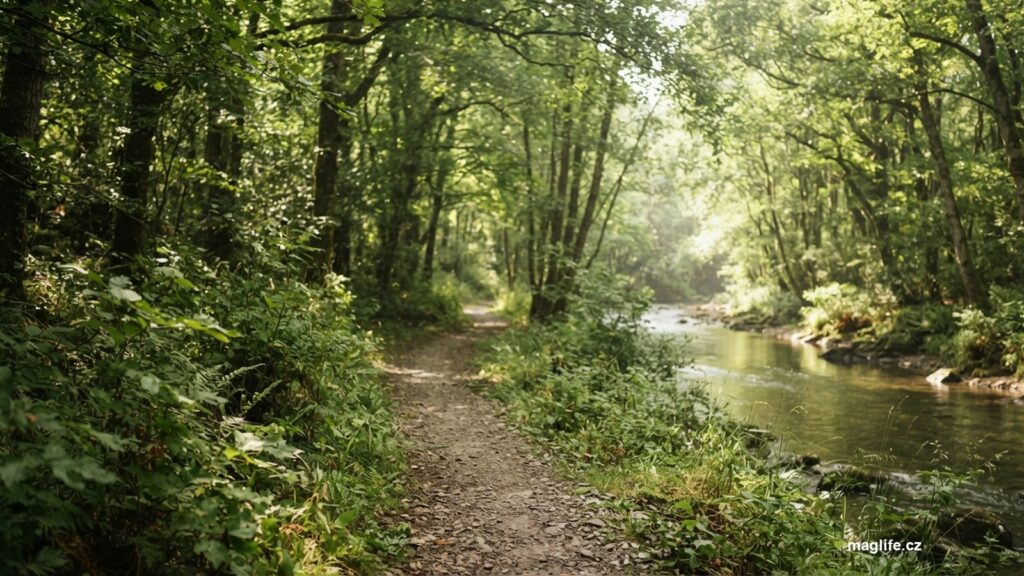 Stinná cesta podél řeky mezi stromy v letním dni